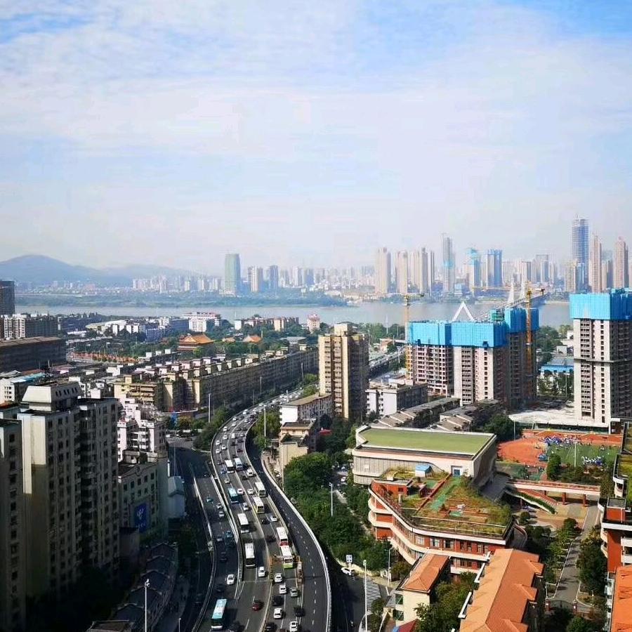 我是大杨