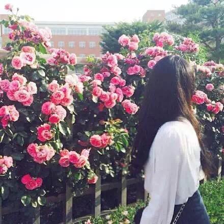 高能温蒂🌼🪷