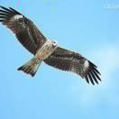 日立中央空调悠悠我心