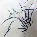 凤栖梧桐，兰香依旧