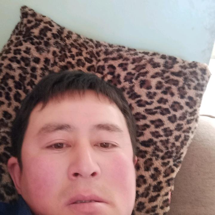 随心所欲