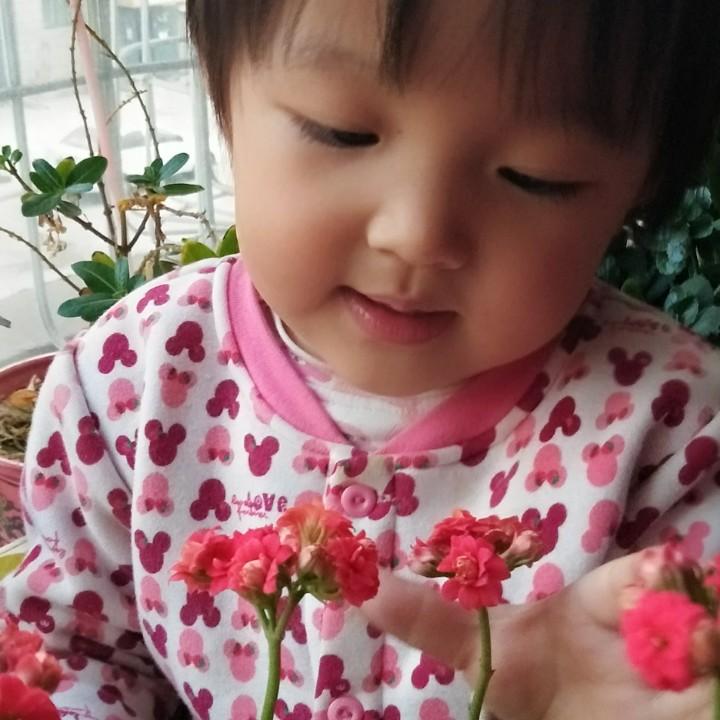 岁月含香