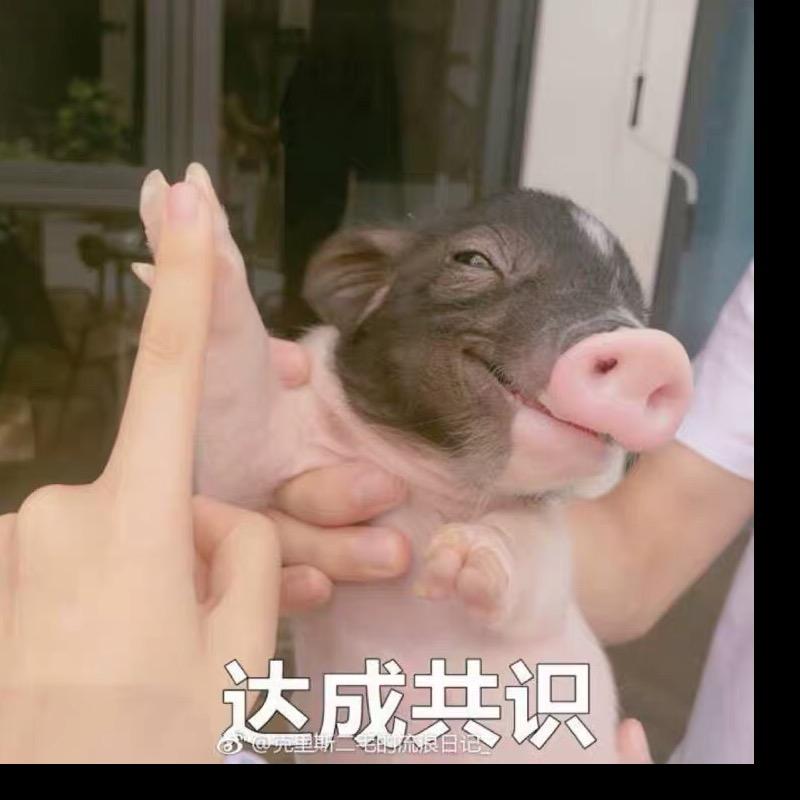 陪着🐌散步