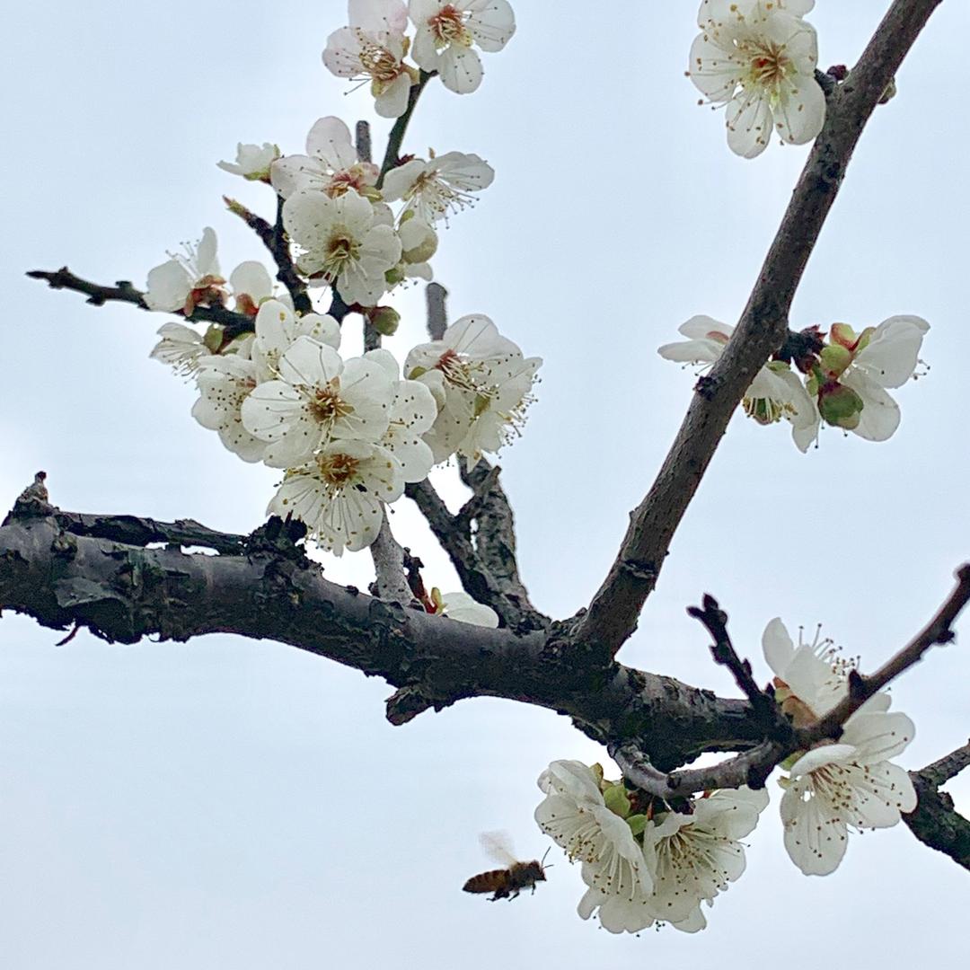 我俩的生活点滴