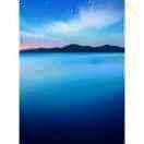 【郁金香】《橱窗有好物》