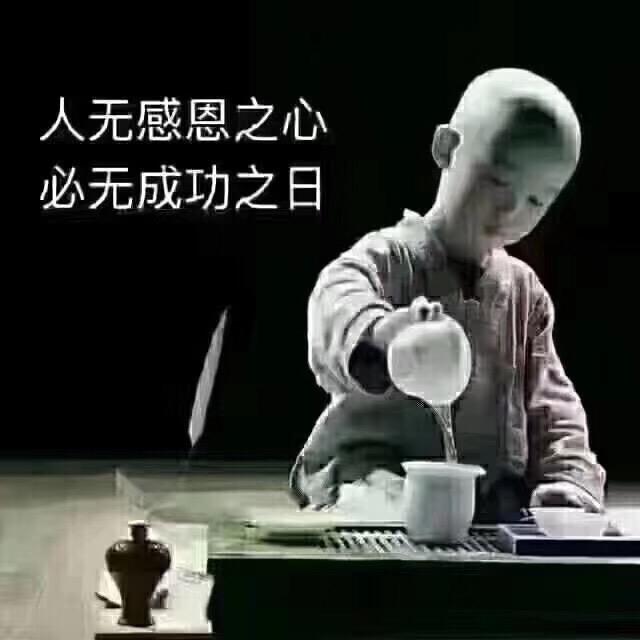 最美的相遇