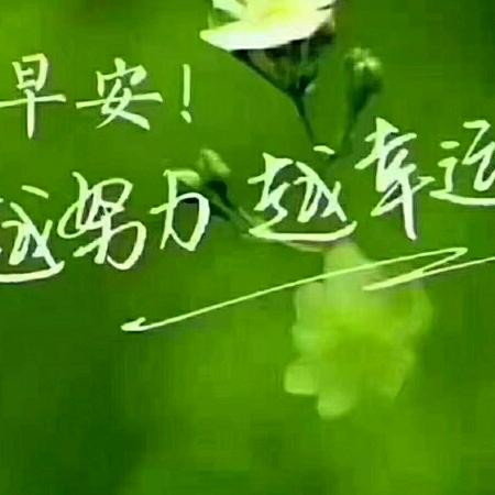 陌上花开