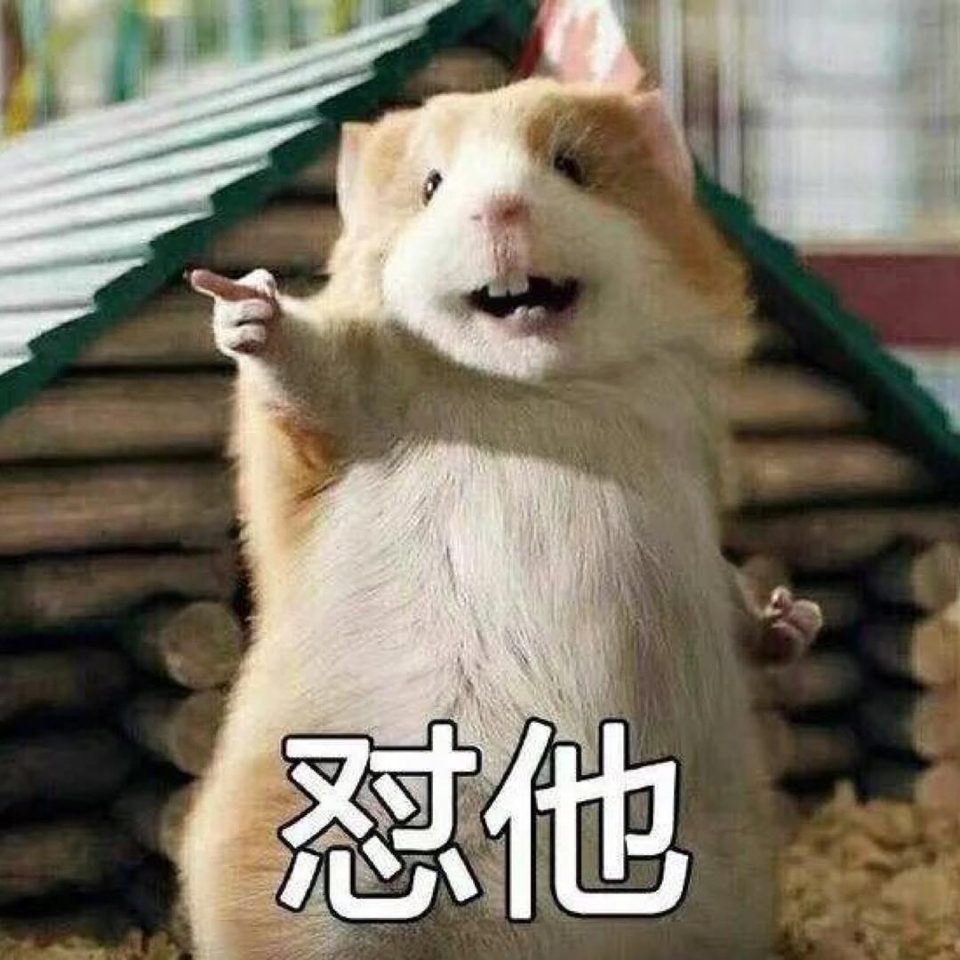 MASTER