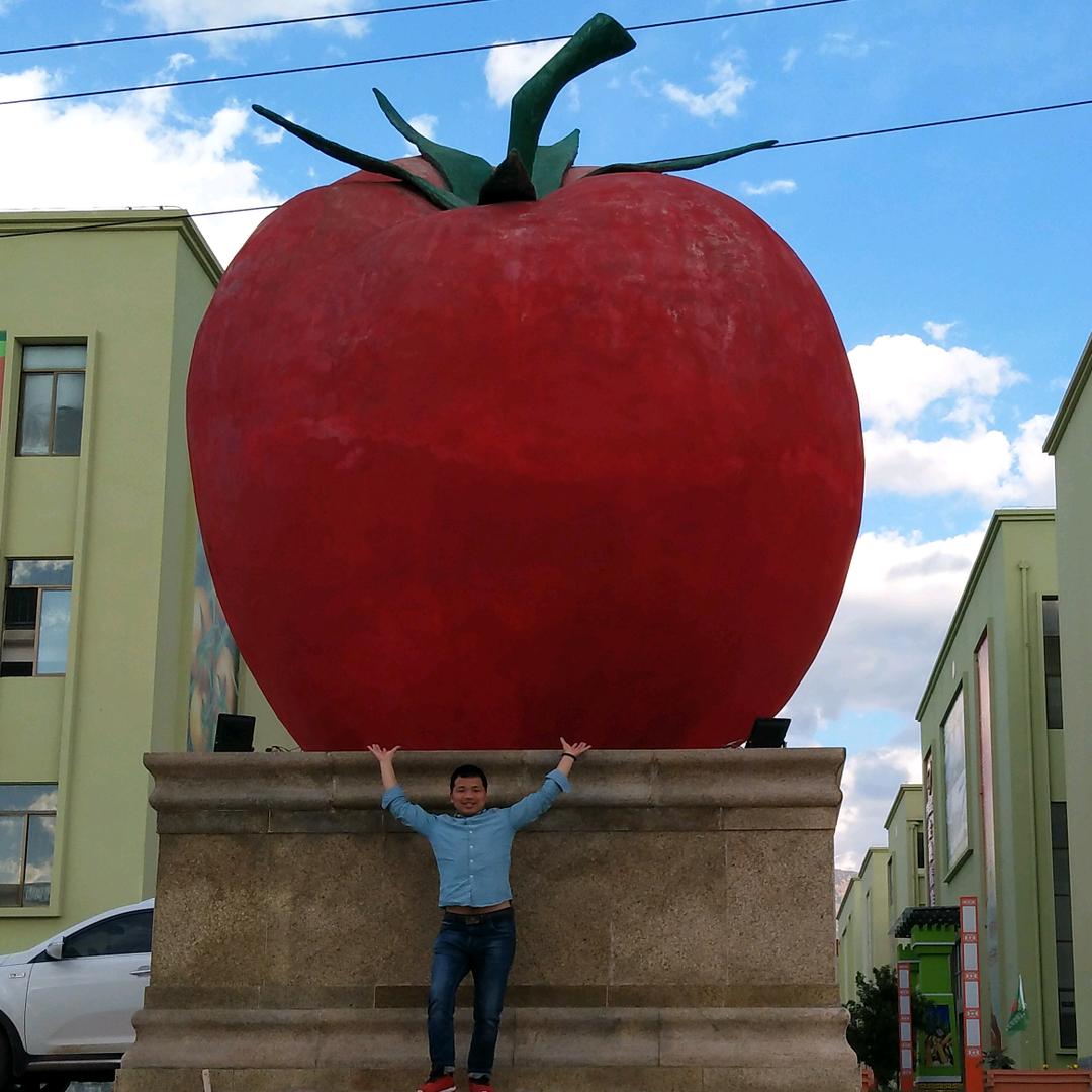 全国西红柿🍅专业代收代发周怀庆