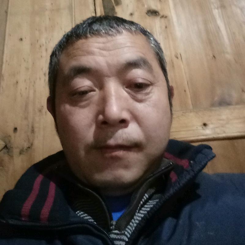 开心果