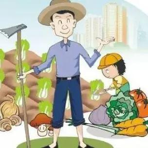 我爱种菜家园@抖音