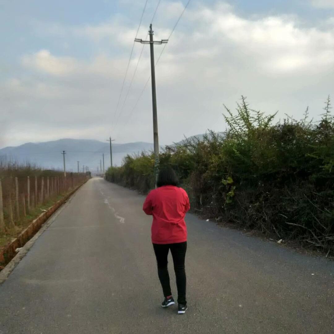 可乐（好物分享）