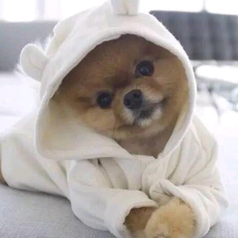 鹏远