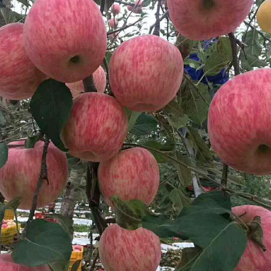 环氧自流平施工队！诚信赢天下！