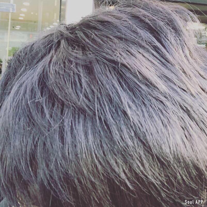 辣椒粉的狗