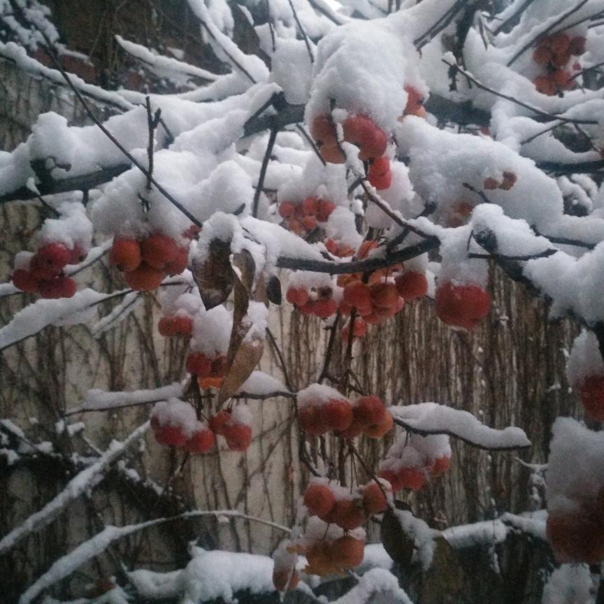 秋夜凉光板床（有关必回）