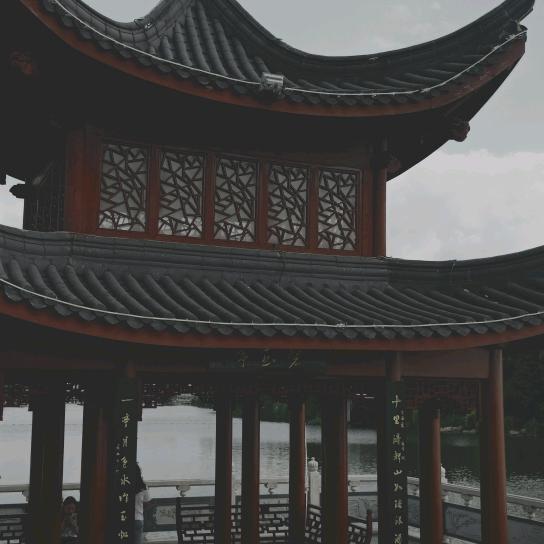 低调的我情感交流