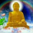 刘进峰，汽车出租：刘保玉：