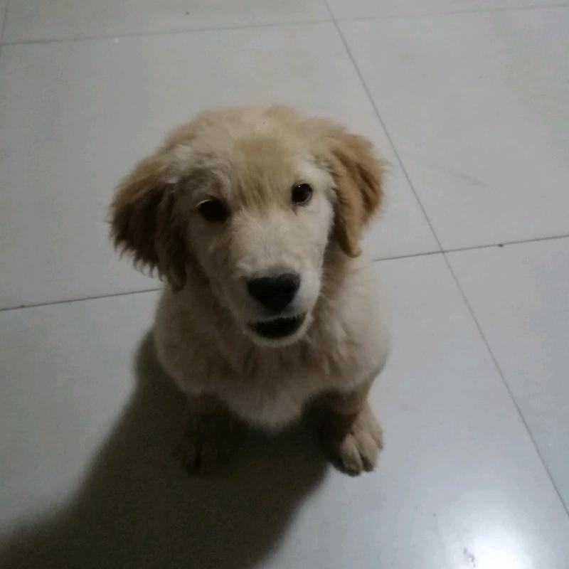 好吧开心就好