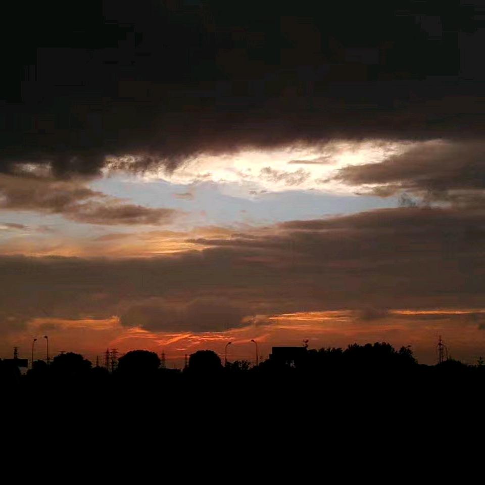 西红柿爱吃番茄