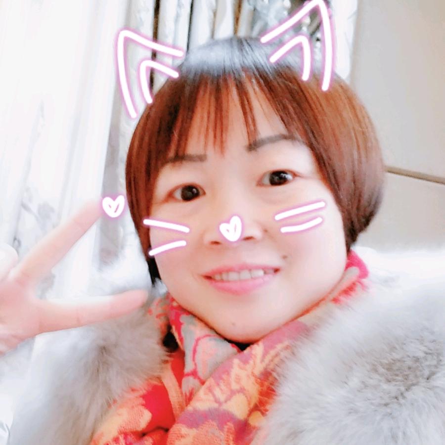 燕子飞翔(关赞必回👍）