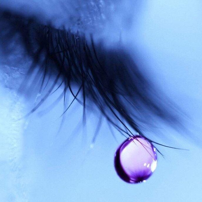 🌈魅眸➰