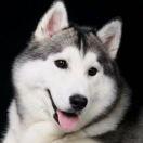 遇见则是上上签