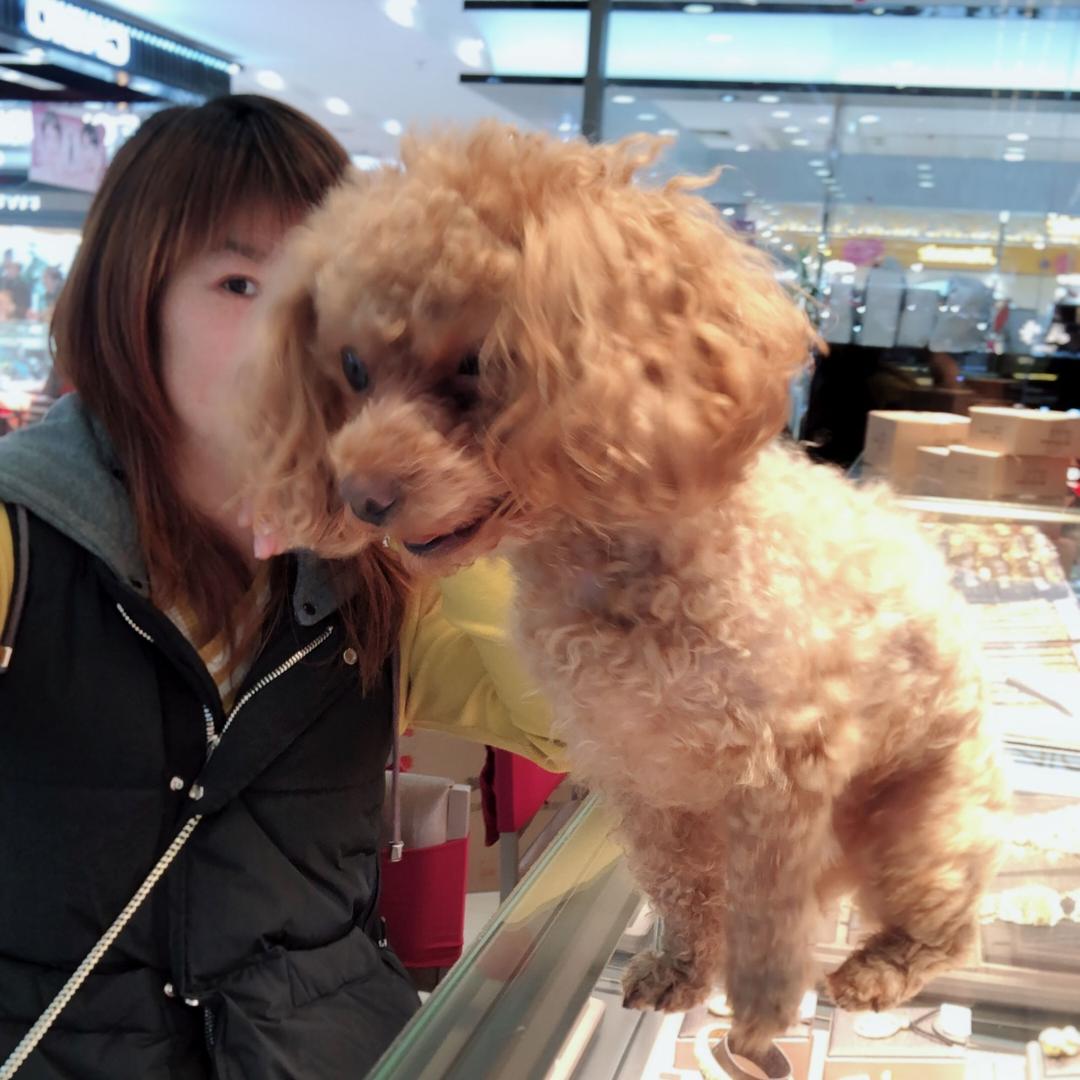 陈美华