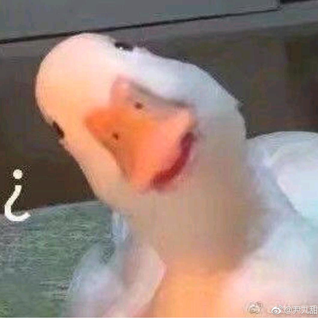 - w -