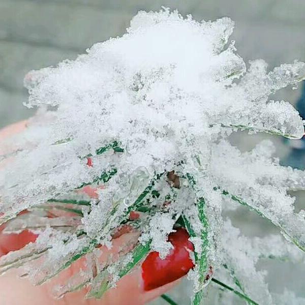 雨后彩虹