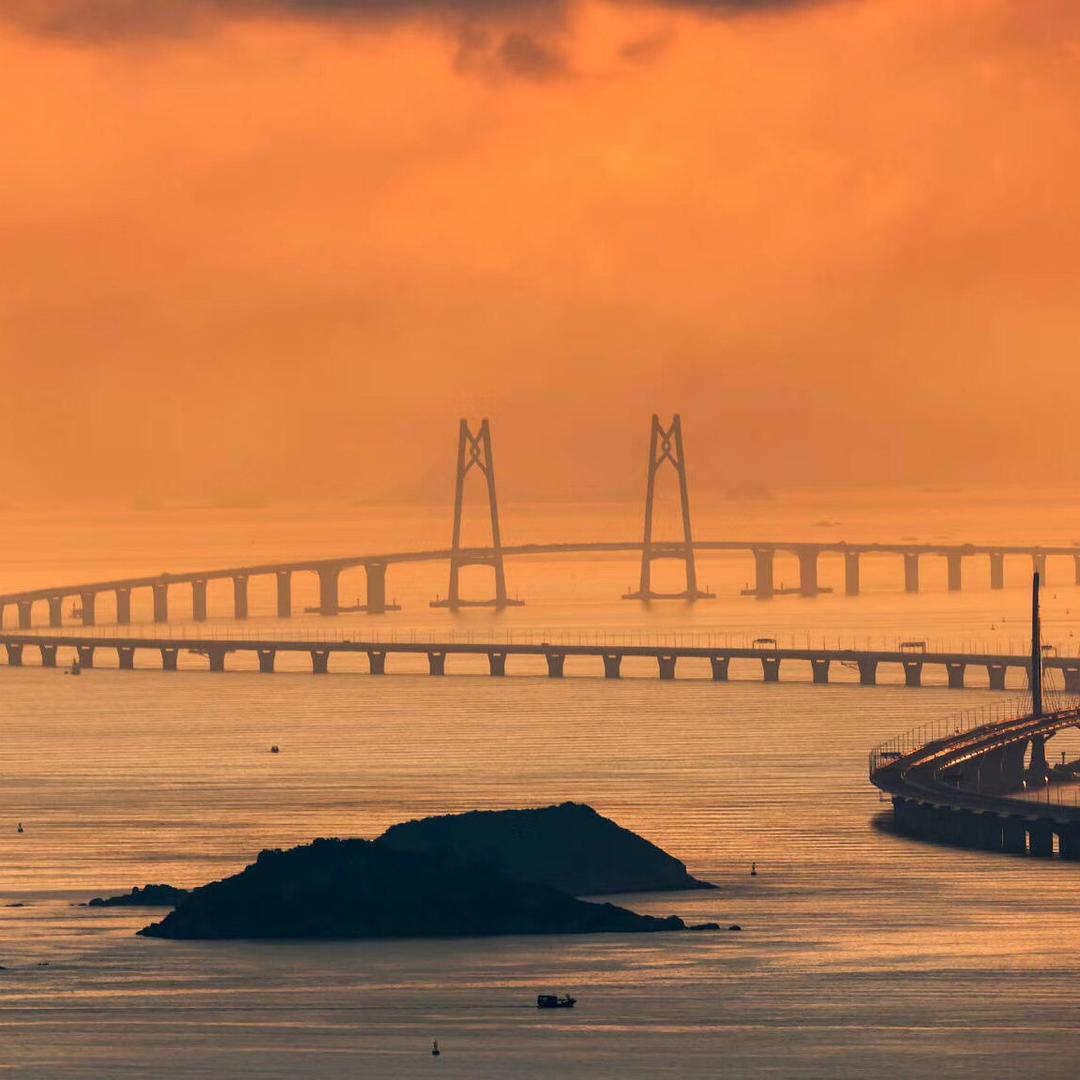 辉哥潇洒走一回