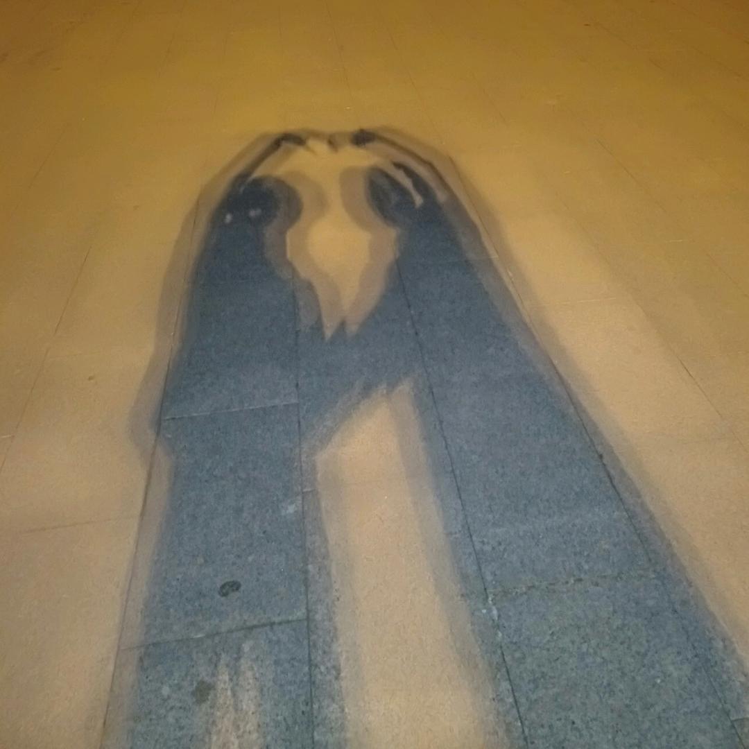 雨蝶😊