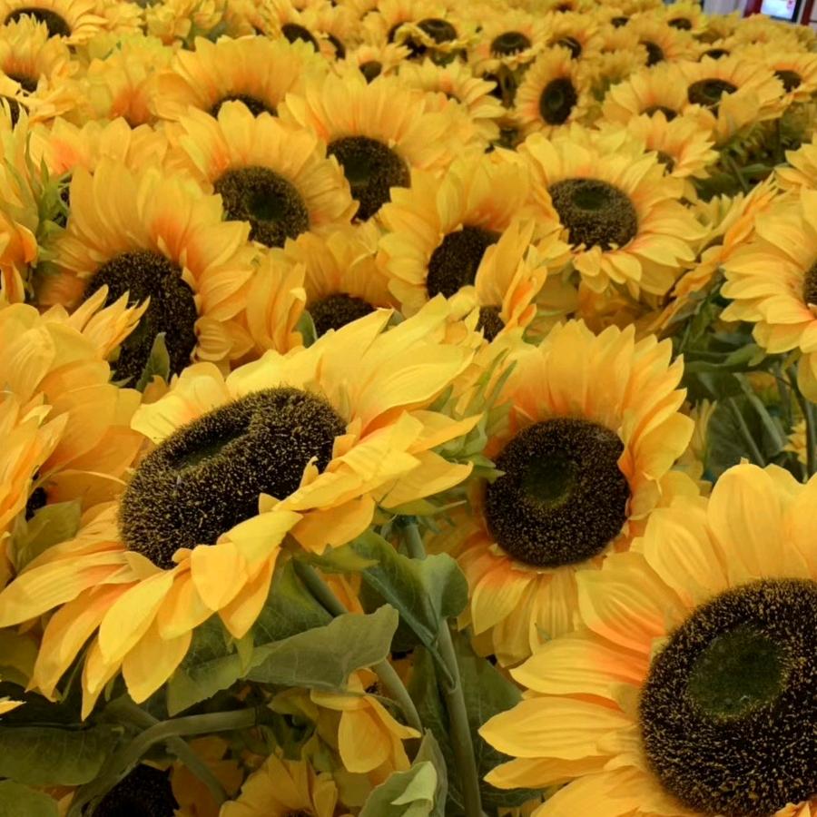 @꧁༺丫头🌻༻꧂