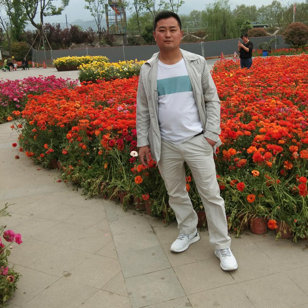 白天不懂夜的黑