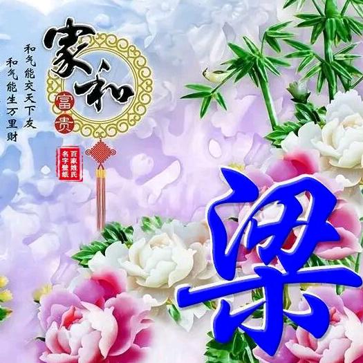 梁阿荣582