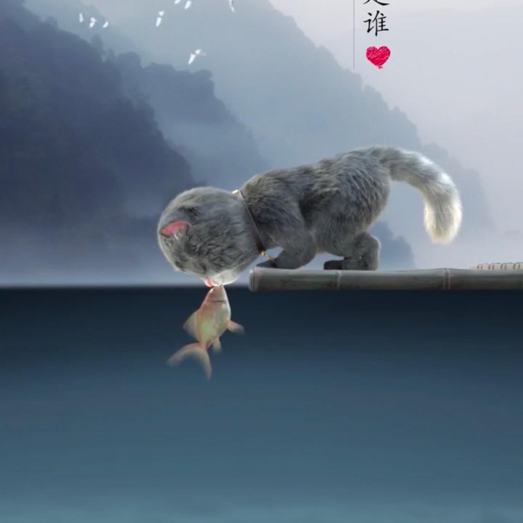 君子无悔