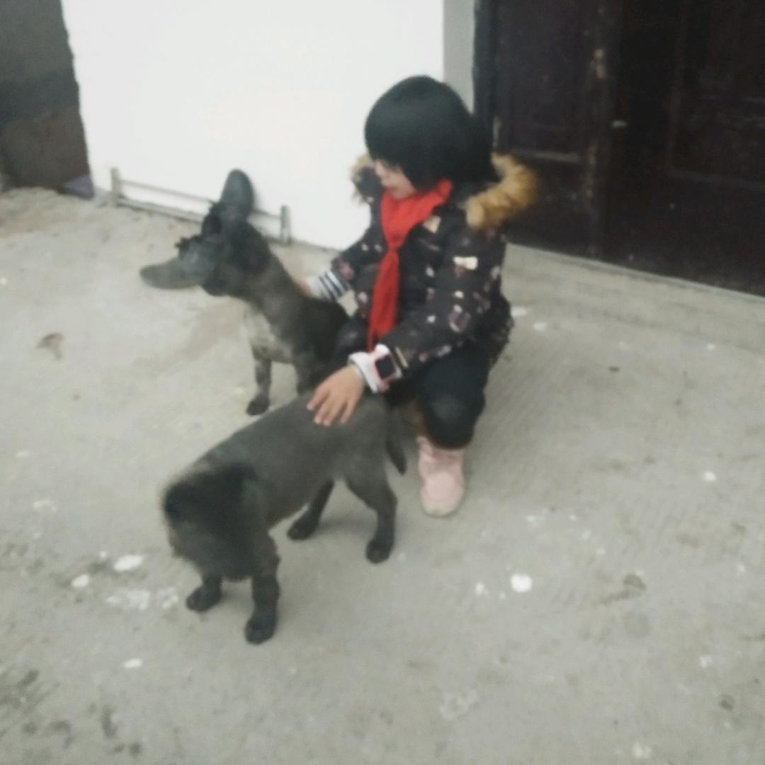 简简单单。