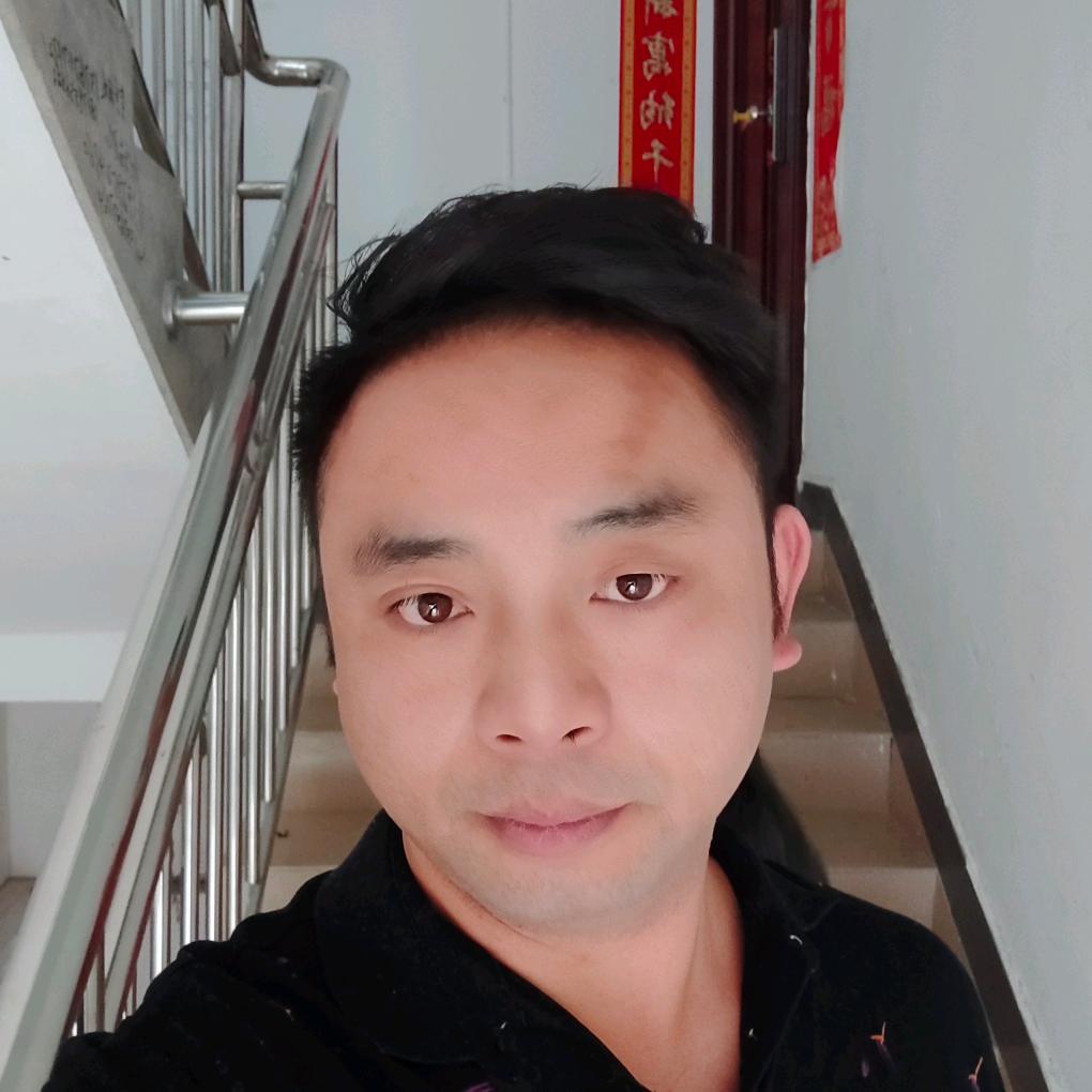 洒洒