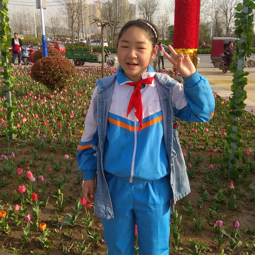 开心果