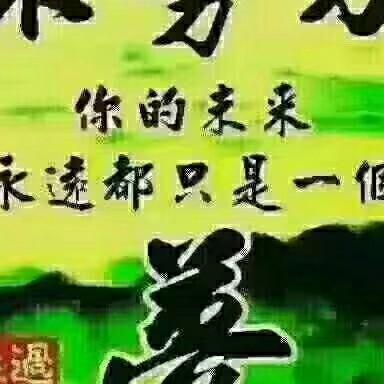 蛟龙飞翔