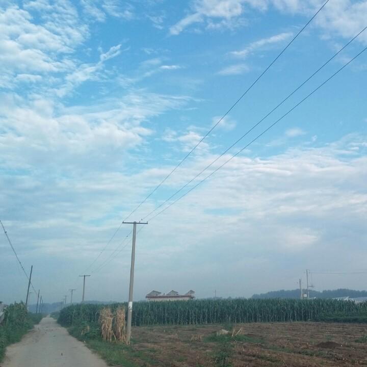 你晨哥