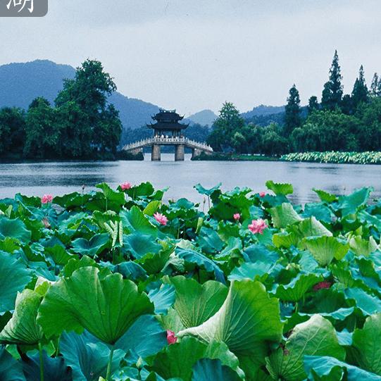 潜水🐟