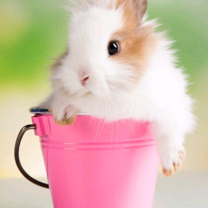 ☆金生有你♥
