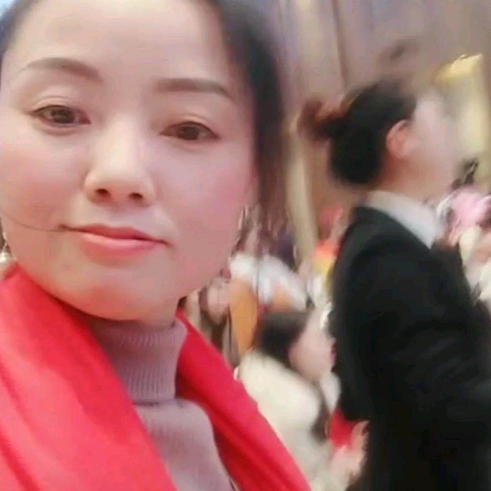琴