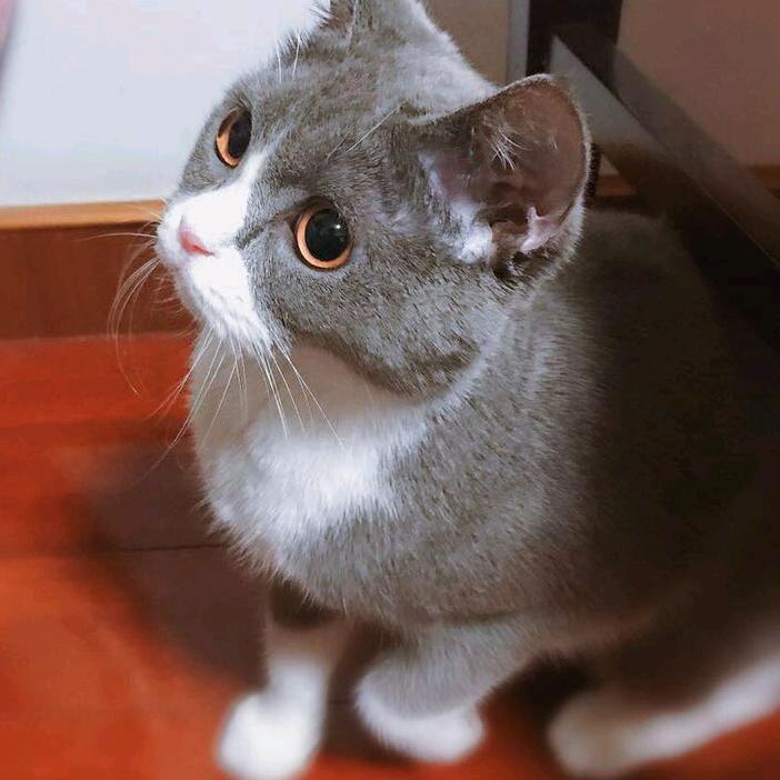 居姐