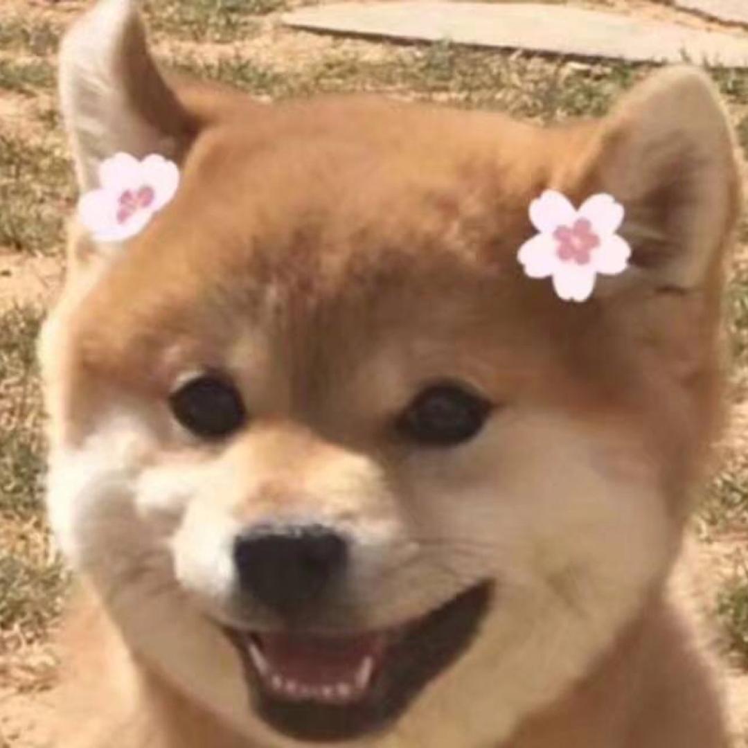 TiAmo