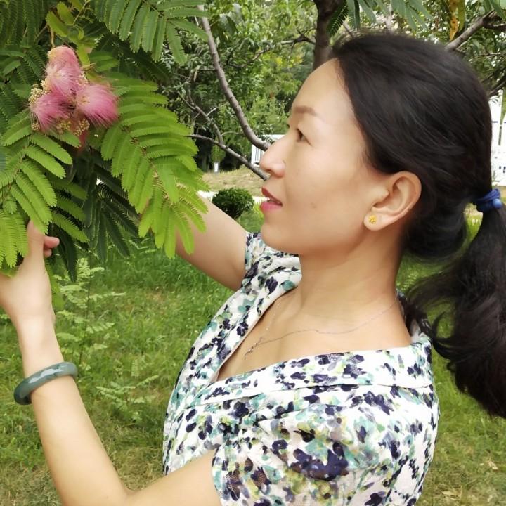 梅兰竹菊