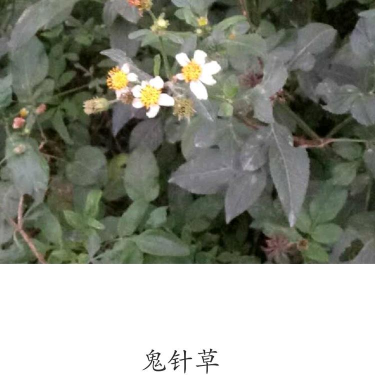 命里有运