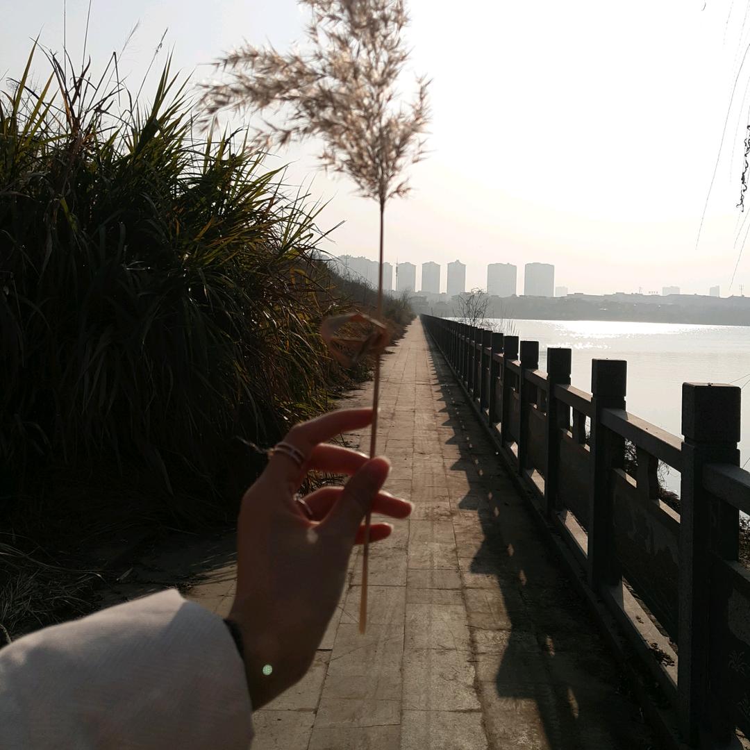 👧兔小蕊