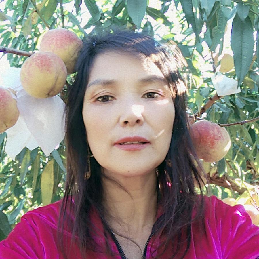芳草,不定时开播,
